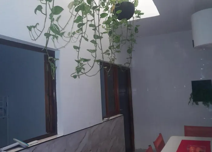 Vero Housing 게스트하우스